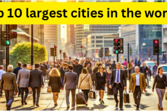 Top 10 largest cities in the world